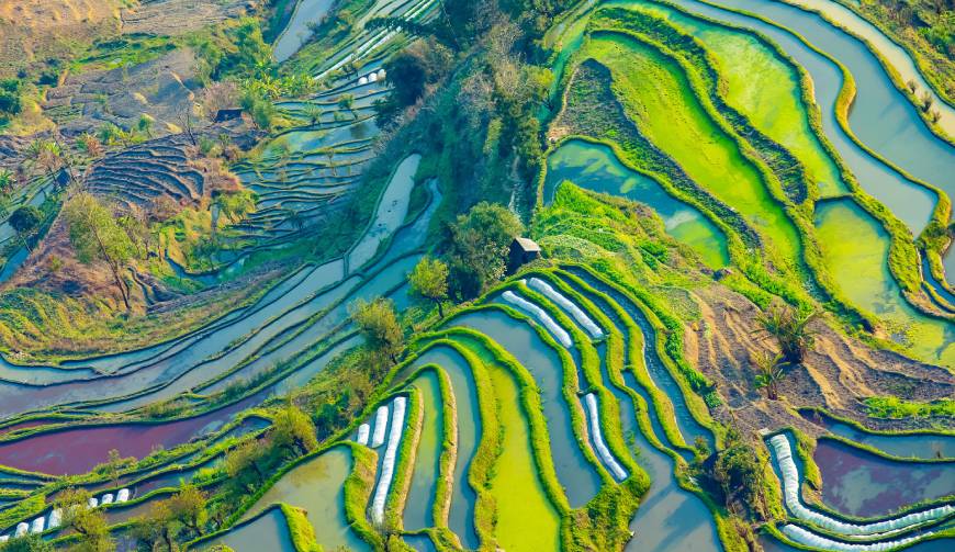 宝妈必备神器：景东产品视频拍摄轻松育儿好帮手