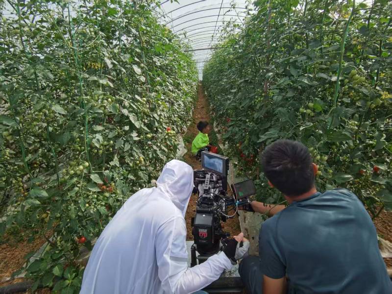 景东产品宣传视频拍摄公司进阶指南，助力品牌抢占传播高地